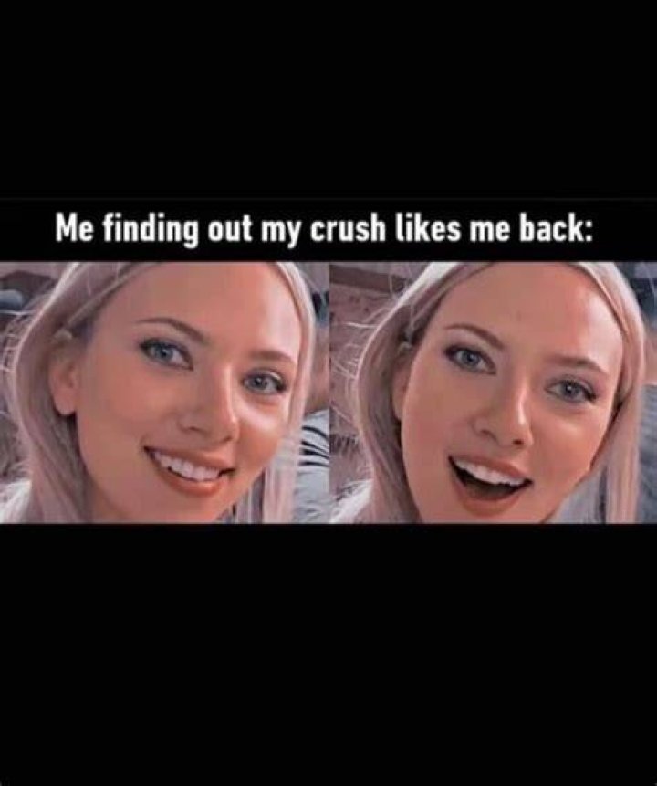 20 Crush Meme Ideas 20 Funny Crush Memes That Are Relatable lupon.gov.ph