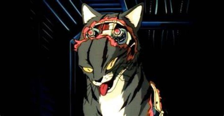 Top 20 Banned Anime (& Where To Watch Them Now) 2 #20 Lily Cat - Banned Anime
