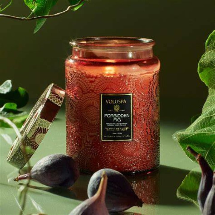 a voluspa forbidden fig long-lasting candle