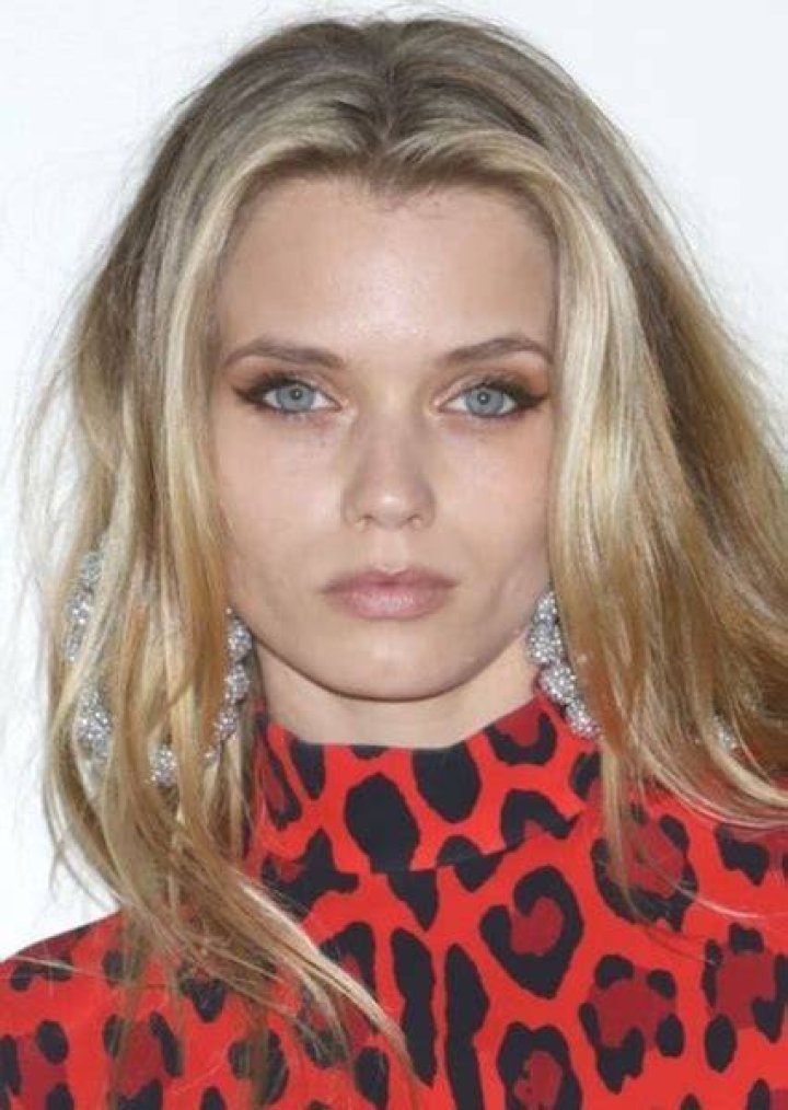 Abbey Lee Fan Casting