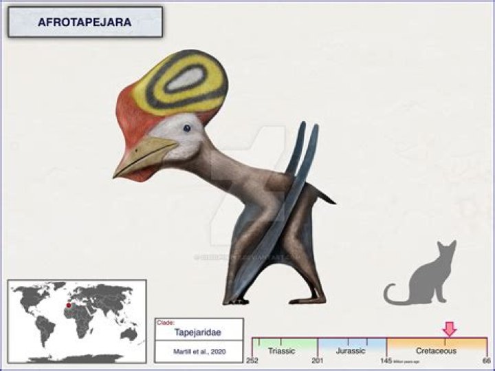 Afrotapejara Fan Casting
