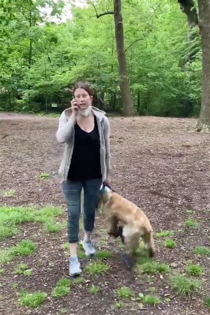 Amy Cooper, the so-called Central Park Karen who falsely claimed to police that a black New York birdwatcher was threatening her in May. Photo / Supplied 