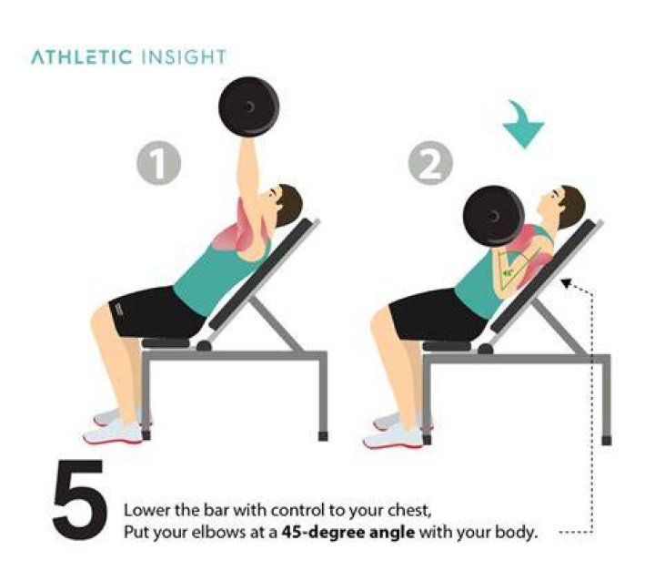 arm, leg, joint, bench, shoulder, press up, chest, muscle, knee, human body,