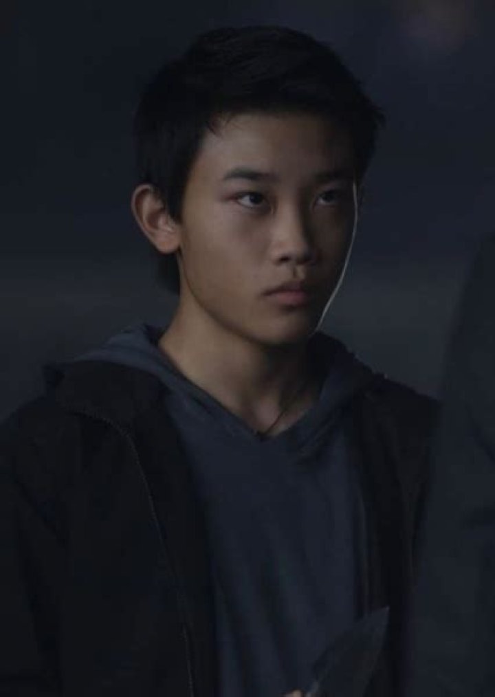 Arnold Sun Fan Casting