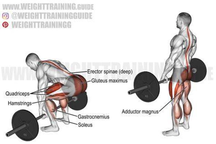 Barbell, Deadlift, Free weight bar, Exercise equipment, Arm, Physical fitness, Weightlifting, Shoulder, Weight training, Strength athletics, 