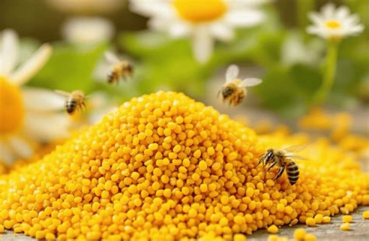 bee pollen