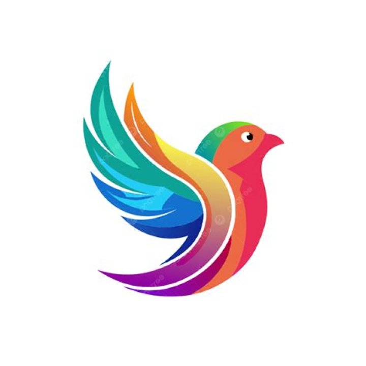 Bird logo (PRNewsfoto/Bird) Bird logo (PRNewsfoto/Bird)