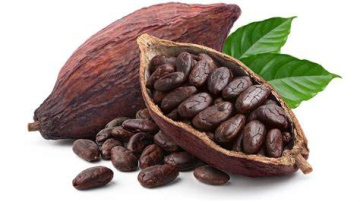 cacao