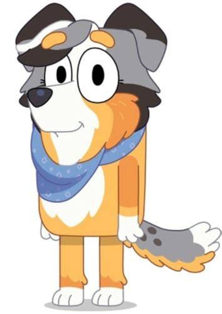 Calypso (Bluey) Fan Casting