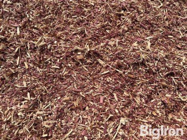 cedar bedding