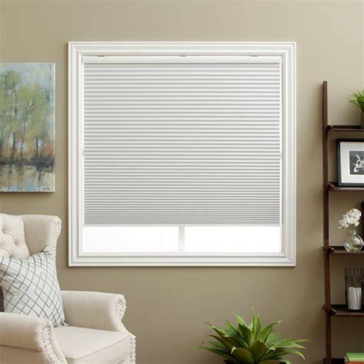 Cellular Shades Cordless Blackout Honeycomb Blinds