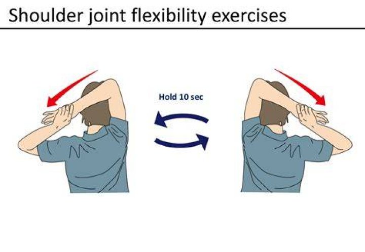 chin, shoulder, standing, chest, joint, physical fitness, line, trunk, muscle, jaw,