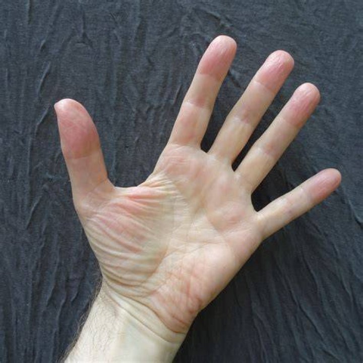 close up of hand of someone using a computer