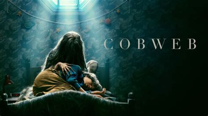 Cobweb Still 7