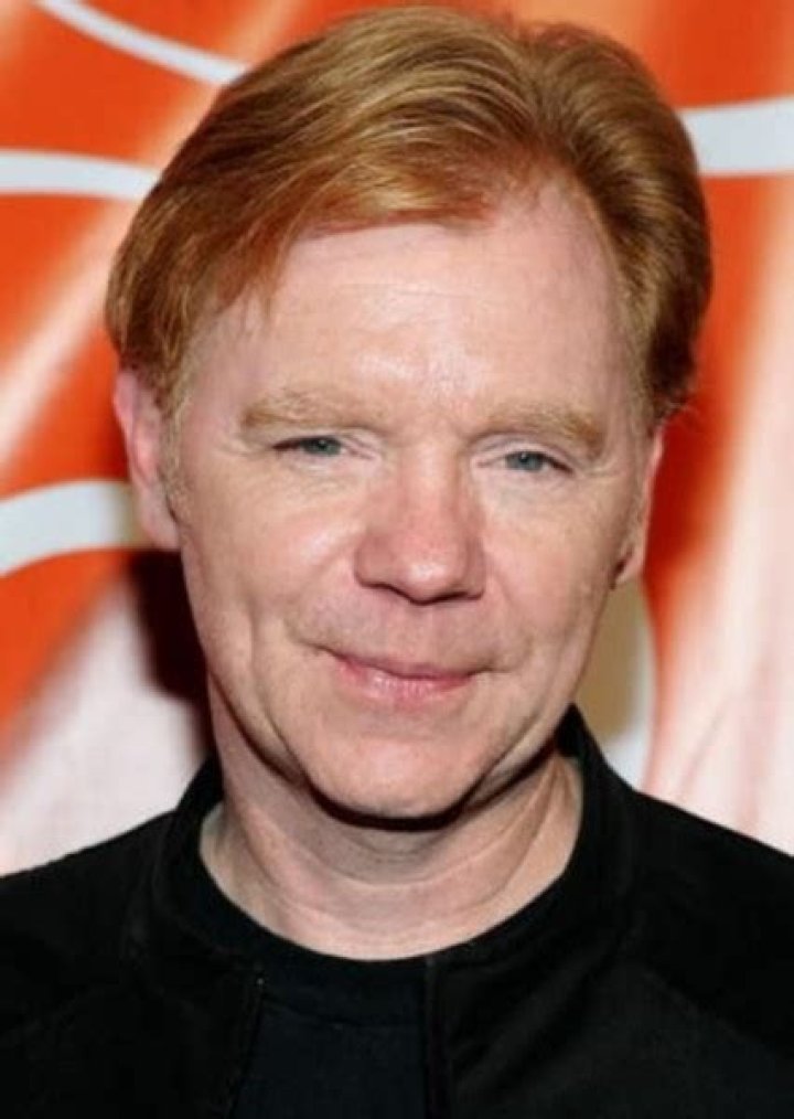 David Caruso Fan Casting