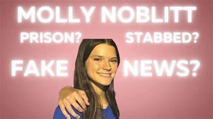 Did Molly Noblitt Get Stabbed? Understanding The Incident And Its