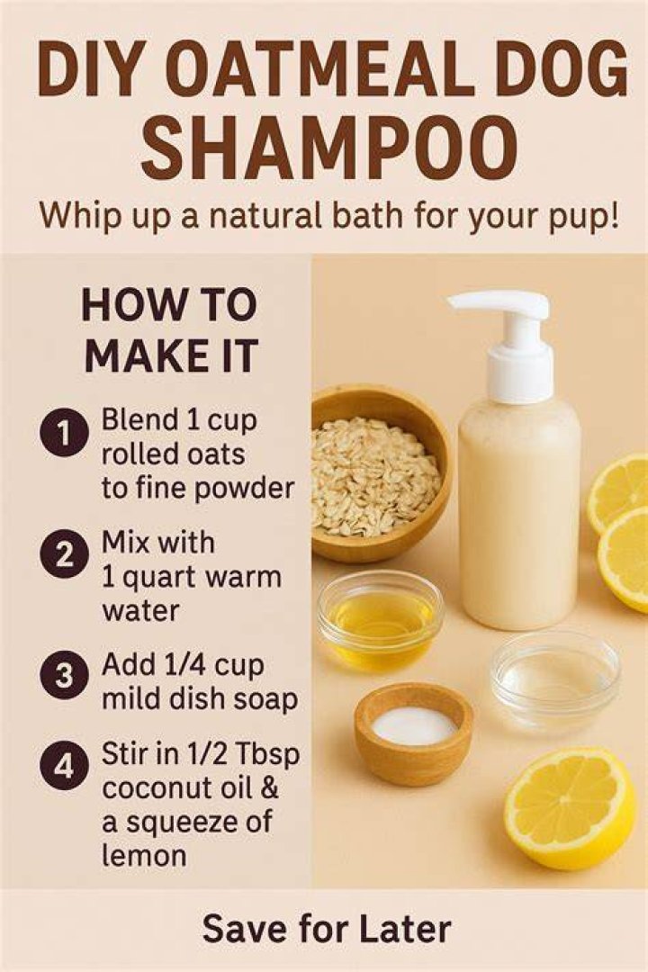 DIY Dog Shampoo