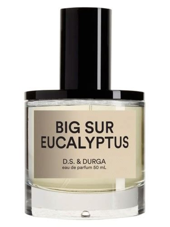 DS & Durga Big Sur After Rain long-lasting Candle
