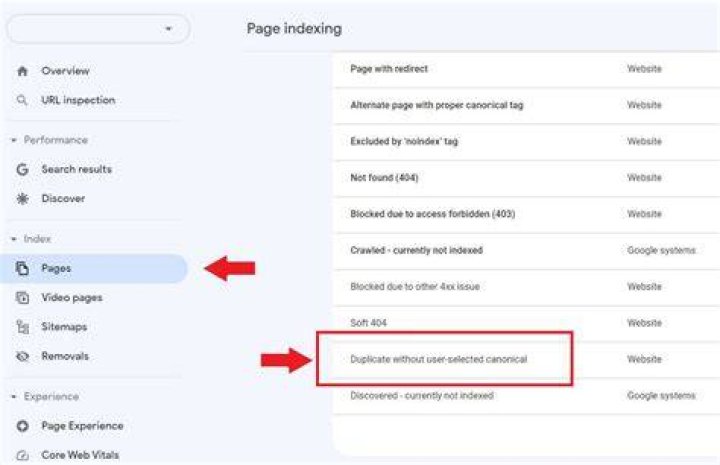 Duplicate without user selected canonical 🛠️ Google search console