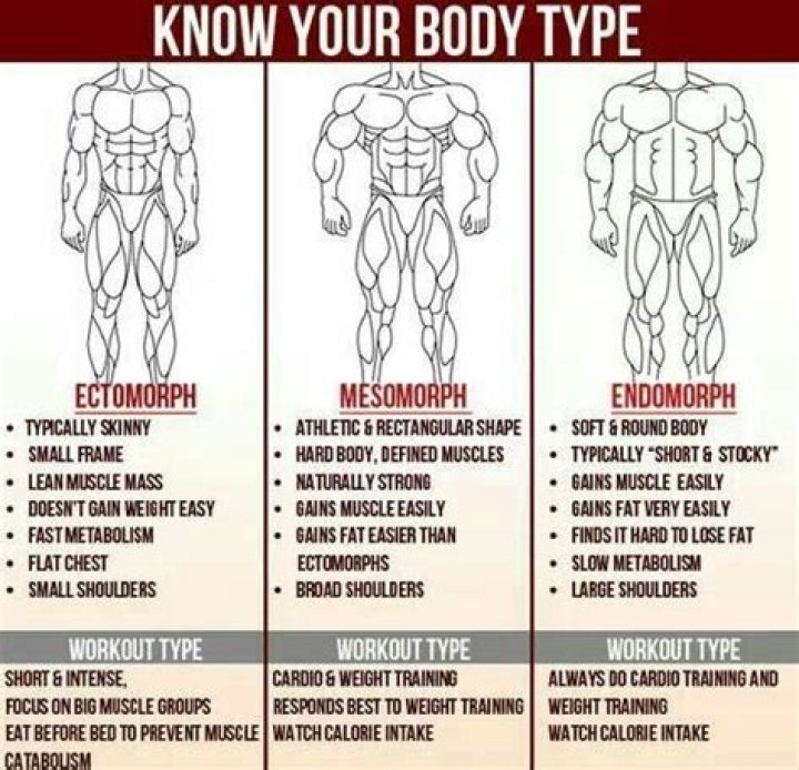 Ecto Mesomorph Bodybuilders