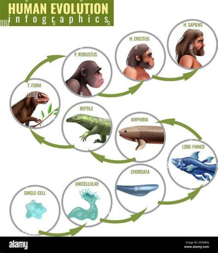 Evolution 