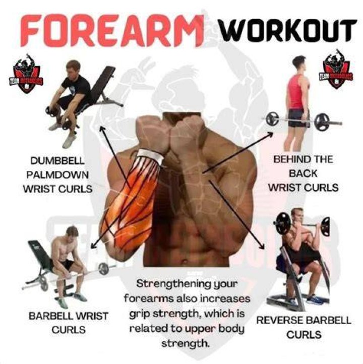 forearm strength