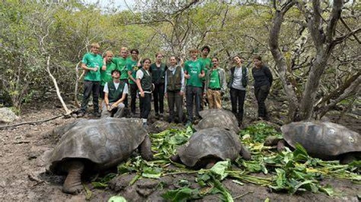 Gap Year Programs in Galapagos Islands, Ecuador