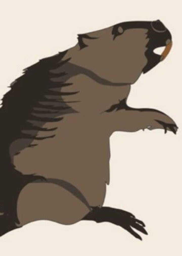 Giant Beaver Fan Casting