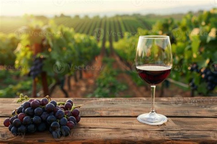 Glass of wine with vineyard out of focus over balcony