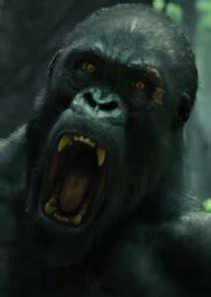 Gorilla Sound Effects Fan Casting