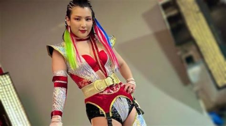 hikaru shida