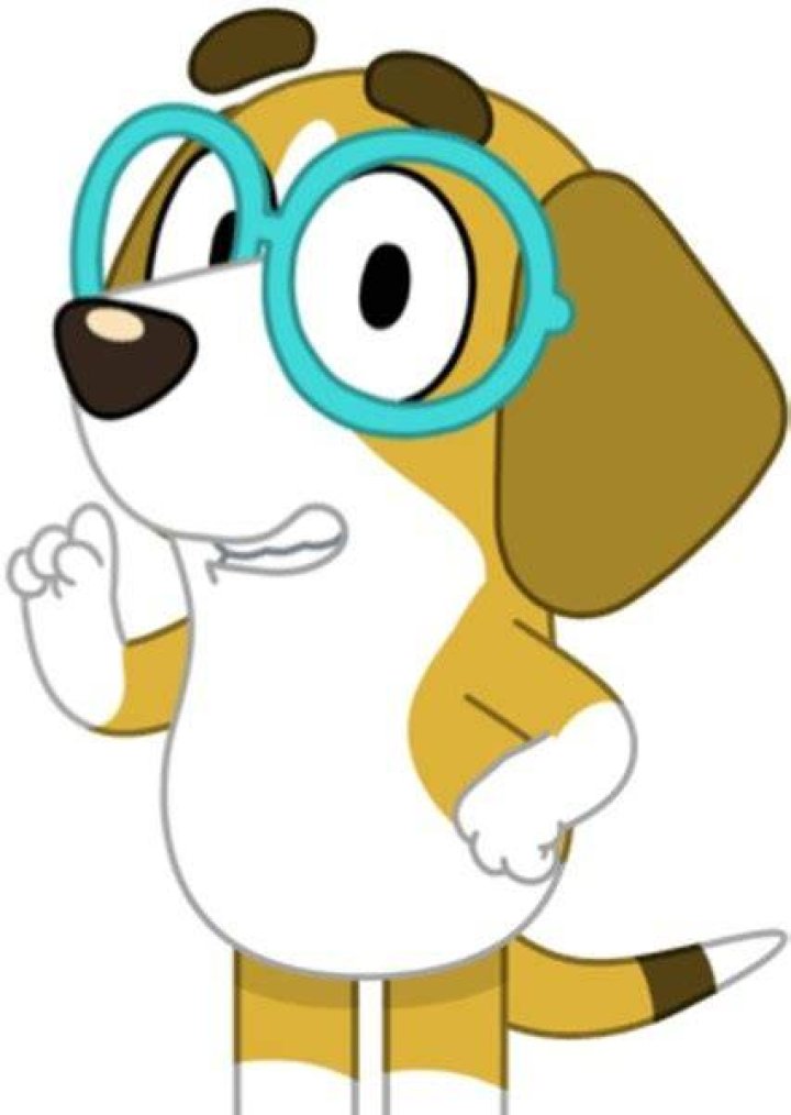 Honey (Bluey) Fan Casting