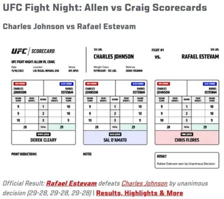 How Are UFC Fights Scored?