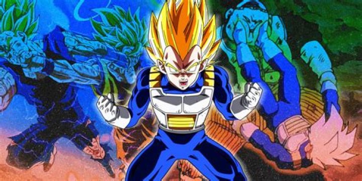 Majin Vegeta: Everything A Saiyan Prince Fan Needs To Know 1 How Did Vegeta Become A Majin?