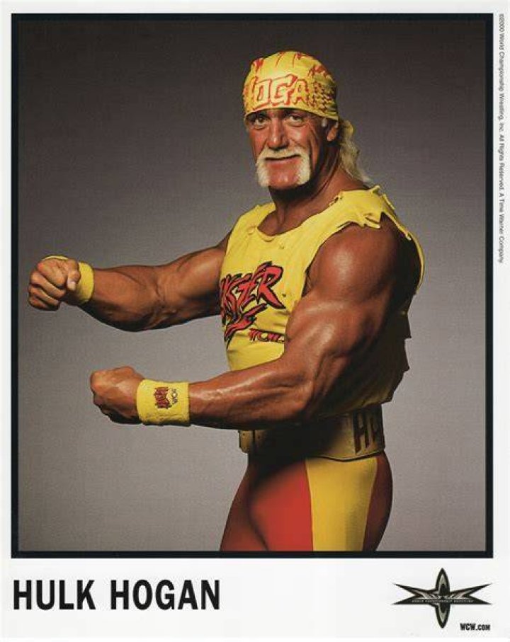 Hulk Hogan Interferring in WCW