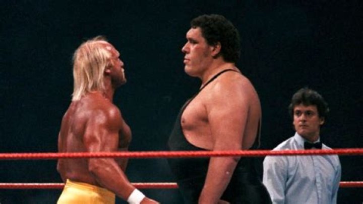 Hulk Hogan The Giant