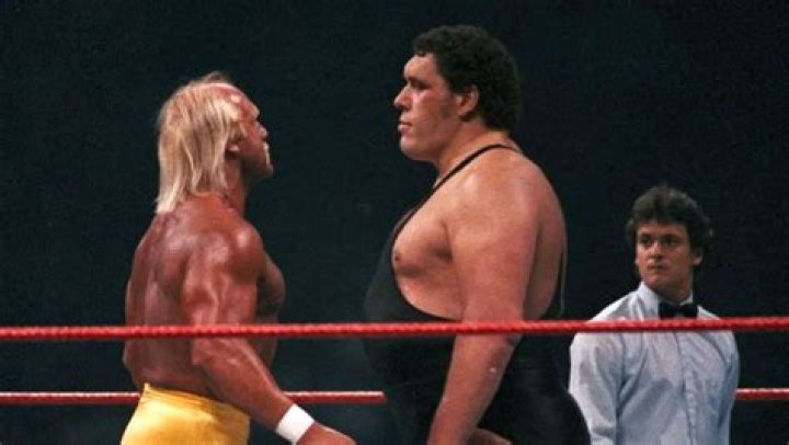 Hulk Hogan vs Andre the Giant at WrestleMania