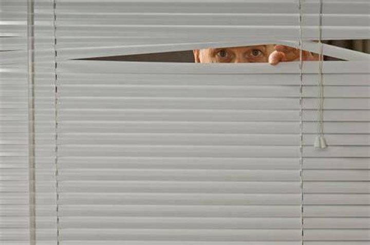 Layla Peeks Through Blinds