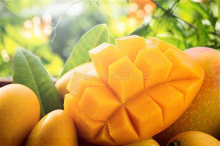 Mango