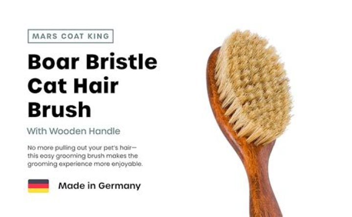 Mars Boar Bristle Cat Hair Brush_Amazon
