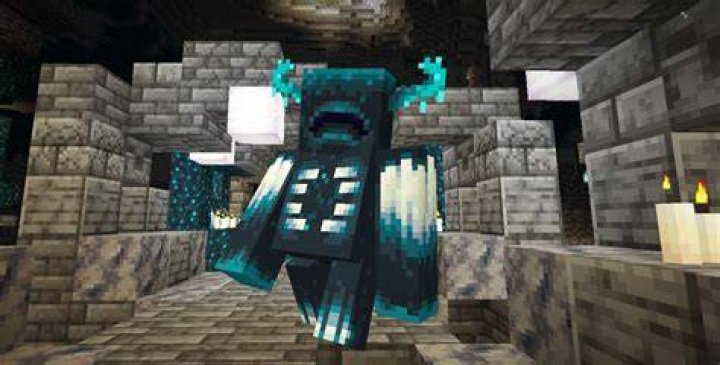 Minecraft The Warden Guide