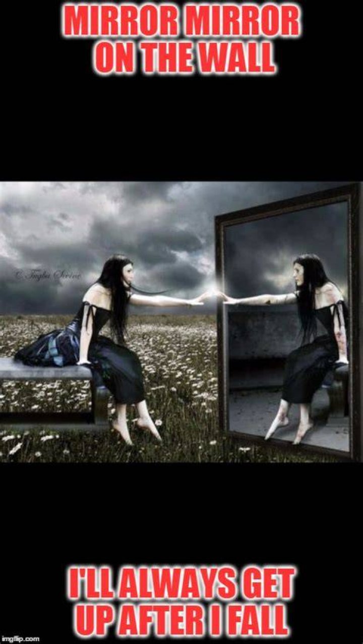 mirrored Imgflip
