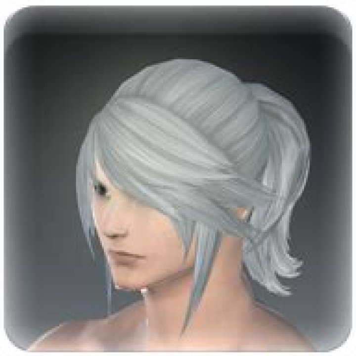 Modern Aesthetics Practical Ponytails