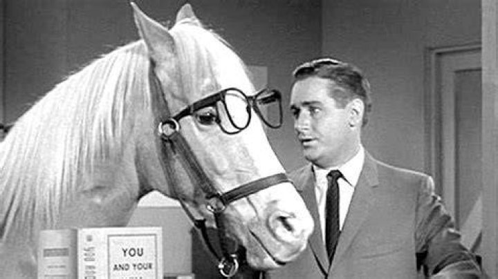 Mr. Ed bathroom door. El Camino de Santiageaux