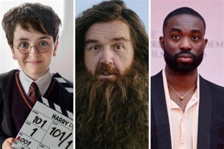New Harry Potter Series Cast