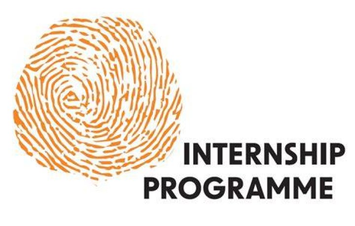 nz internships logo