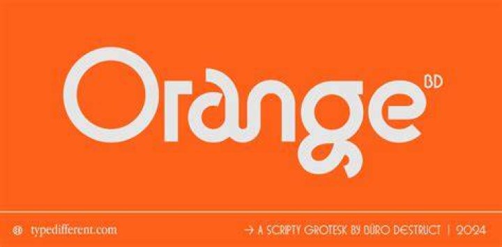 Orange, Logo, Font, Graphics, Trademark, Brand, Circle, 