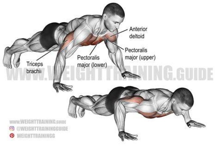 pressup exercises
