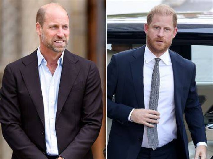 Princes William and Harry at Diana's statue unveiling