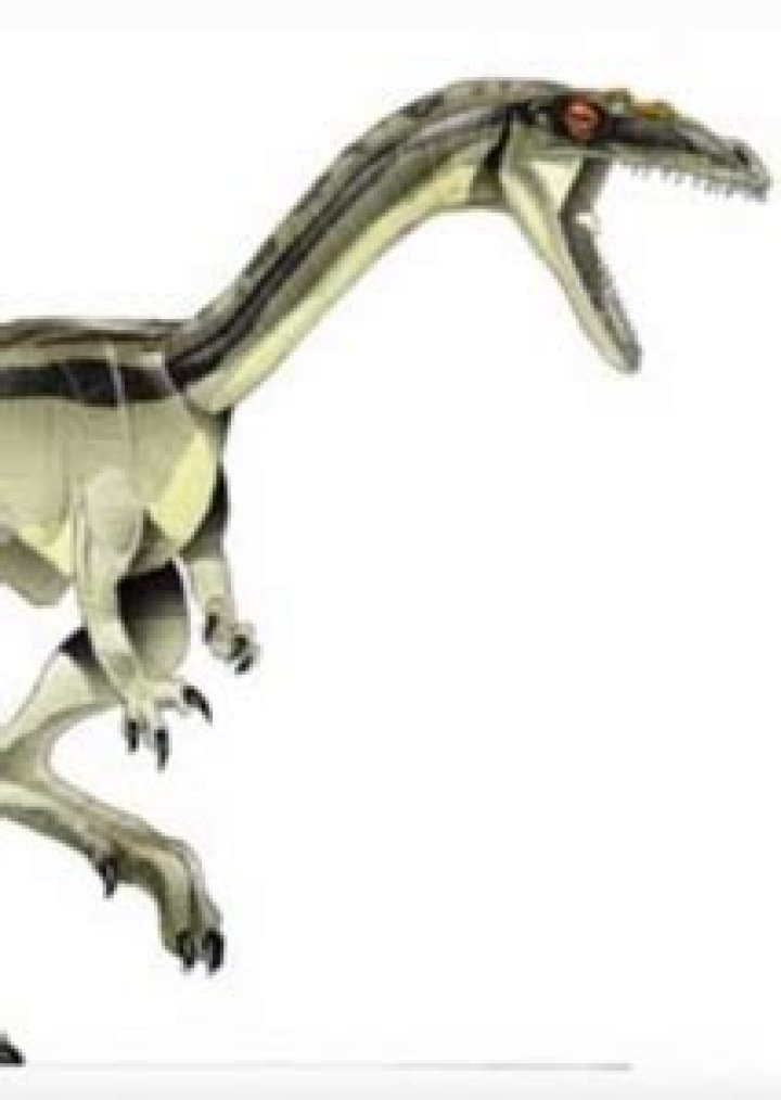 Procompsognathus Fan Casting